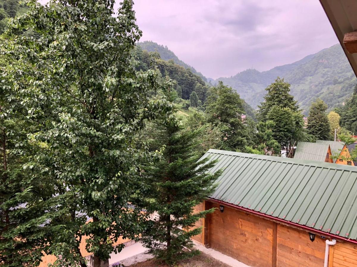 Esinti Bungalows Otel Çamlıhemşin Exteriér fotografie